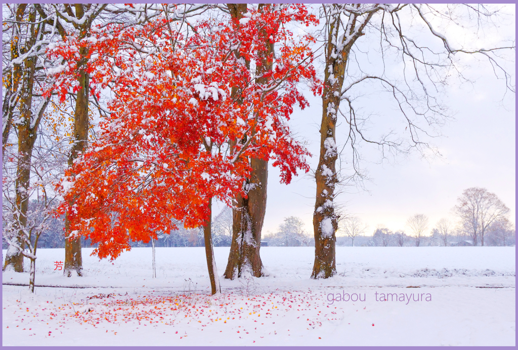 「初雪 の翌日 ２」　