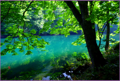 エメラルドの伝説　Ⅱ