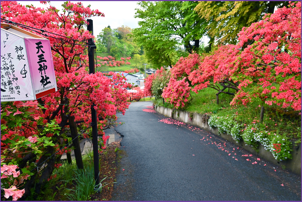 「神社参道坂」