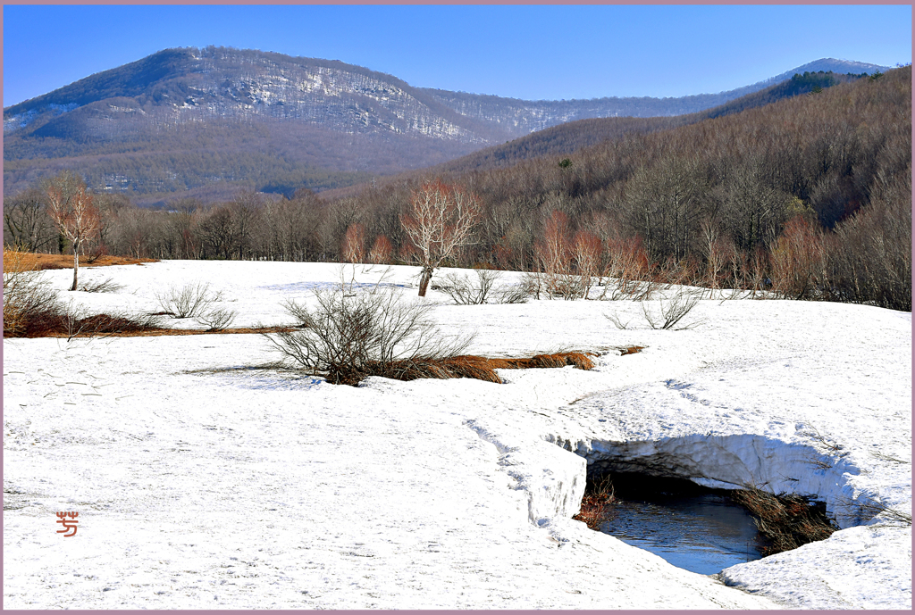 八甲田山「北国の春」