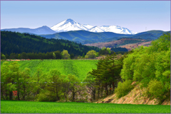 八甲田山遠望