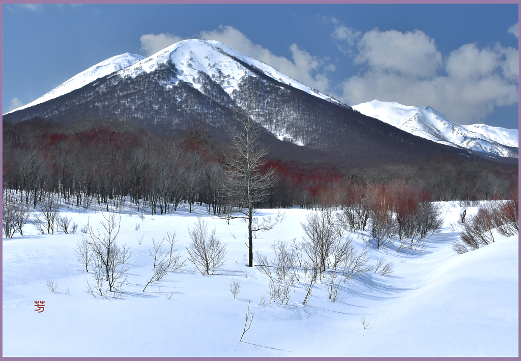 ＠八甲田山　雛岳春陽