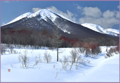 ＠八甲田山　雛岳春陽