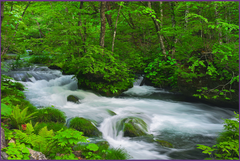 新緑.下石ヶ戸の流れ