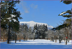 「大寒の八幡岳」