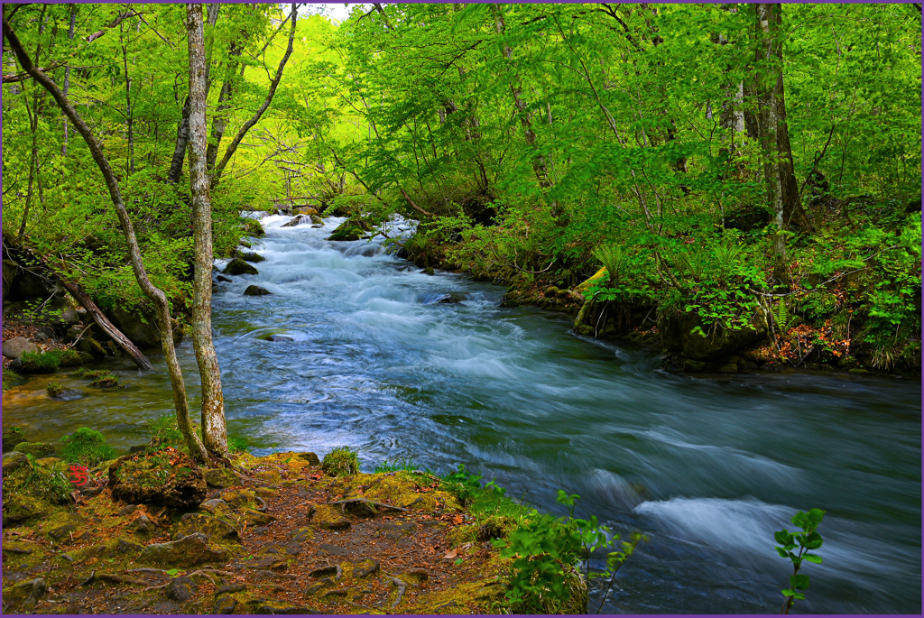 「奥石ヶ戸に流れ」