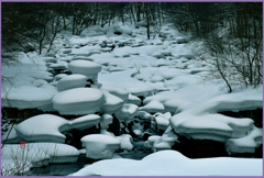 蔦渓谷　「月照りⅡ」