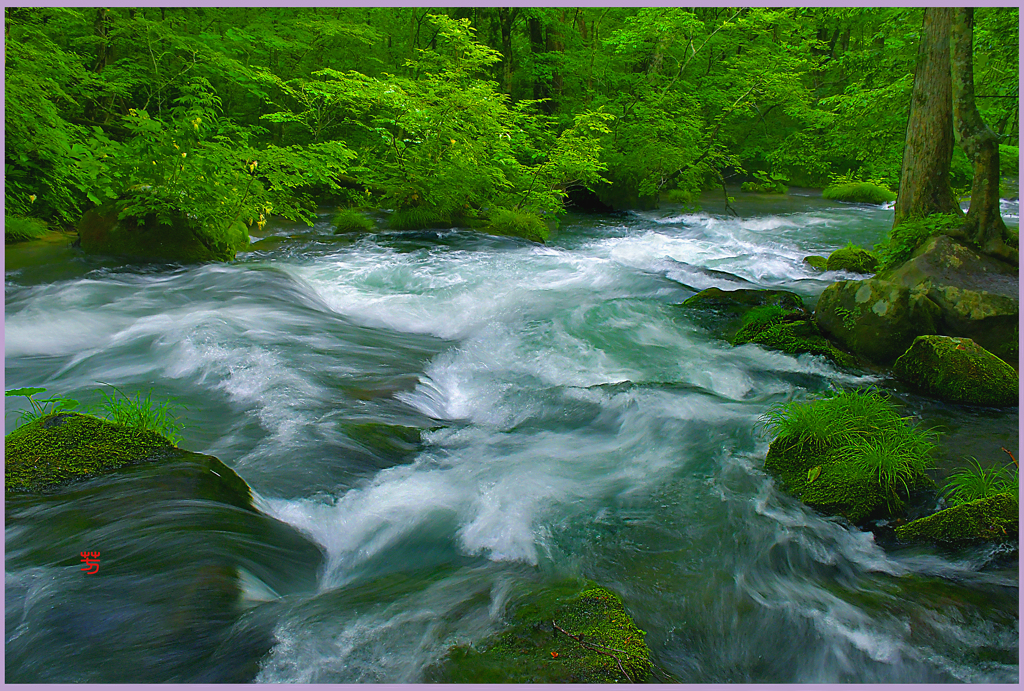 奥入瀬　華麗. 三乱れの流れ