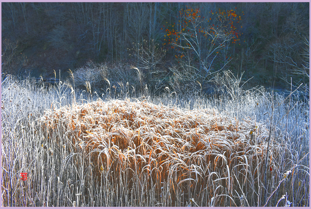 ＠初冬のバラード　2