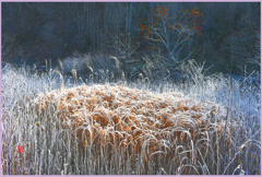 ＠初冬のバラード　2