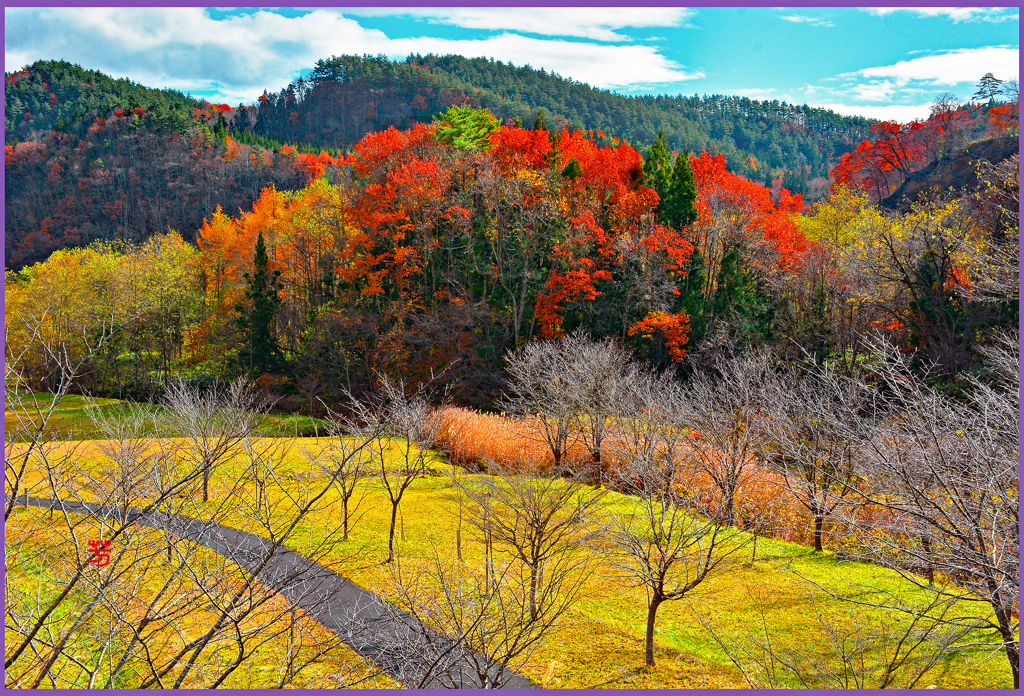 「ワンダーランド」
