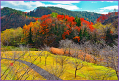 「ワンダーランド」