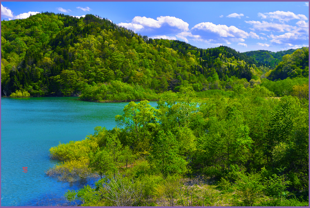 「新緑のダム湖」
