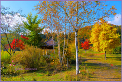 「12原色パールカラー」