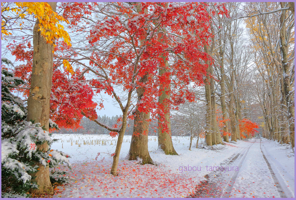 「まきばの路 2」