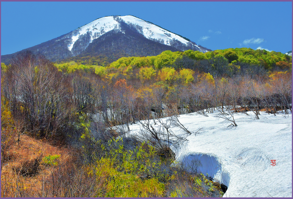 「八甲田山春紅葉」