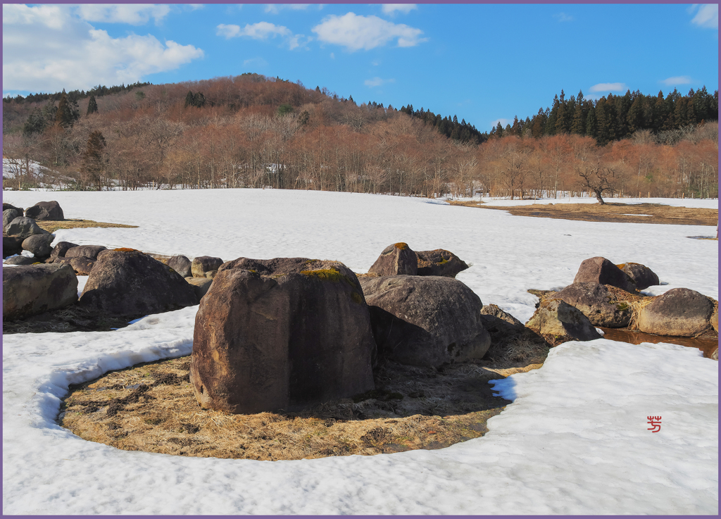 「赤らむ木樹」