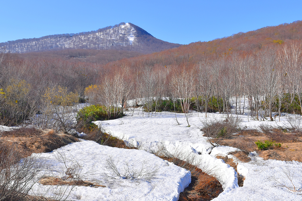 八甲田山残雪　Ⅰ