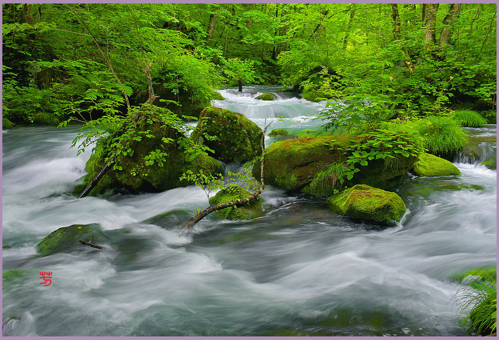 奥入瀬.上阿修羅の流れ.精霊