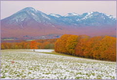 「田代平高原　Ⅱ