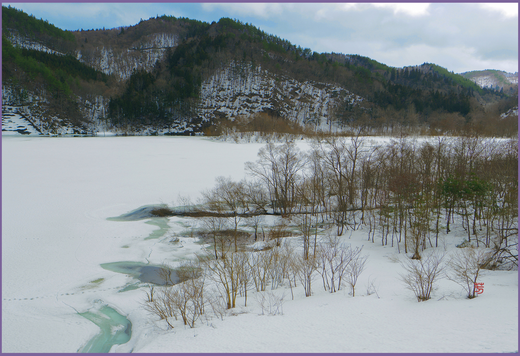「ダム湖の春」