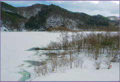 「ダム湖の春」