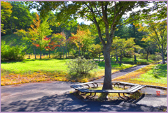 南八甲田家族村　2　