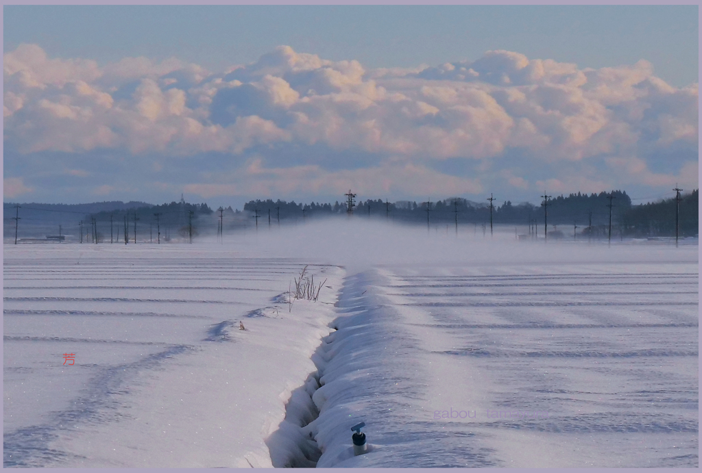 「零下１０度の朝」