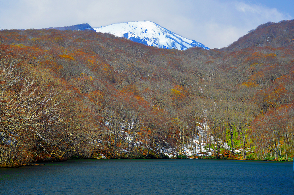 北東北の春「蔦便り」