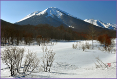 快晴の八甲田山