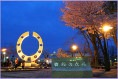 十和田市官庁街「馬と桜1」　