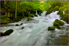 奥入瀬「九龍岩.激流」