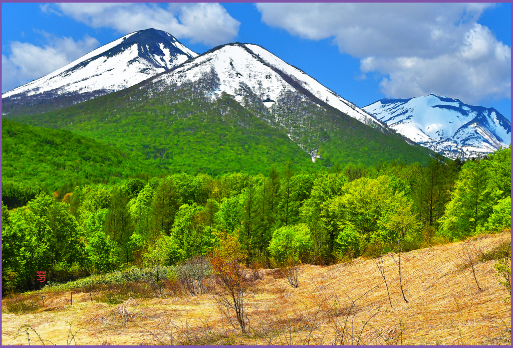 「新緑の八甲田山　Ⅲ」