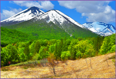 「新緑の八甲田山　Ⅲ」