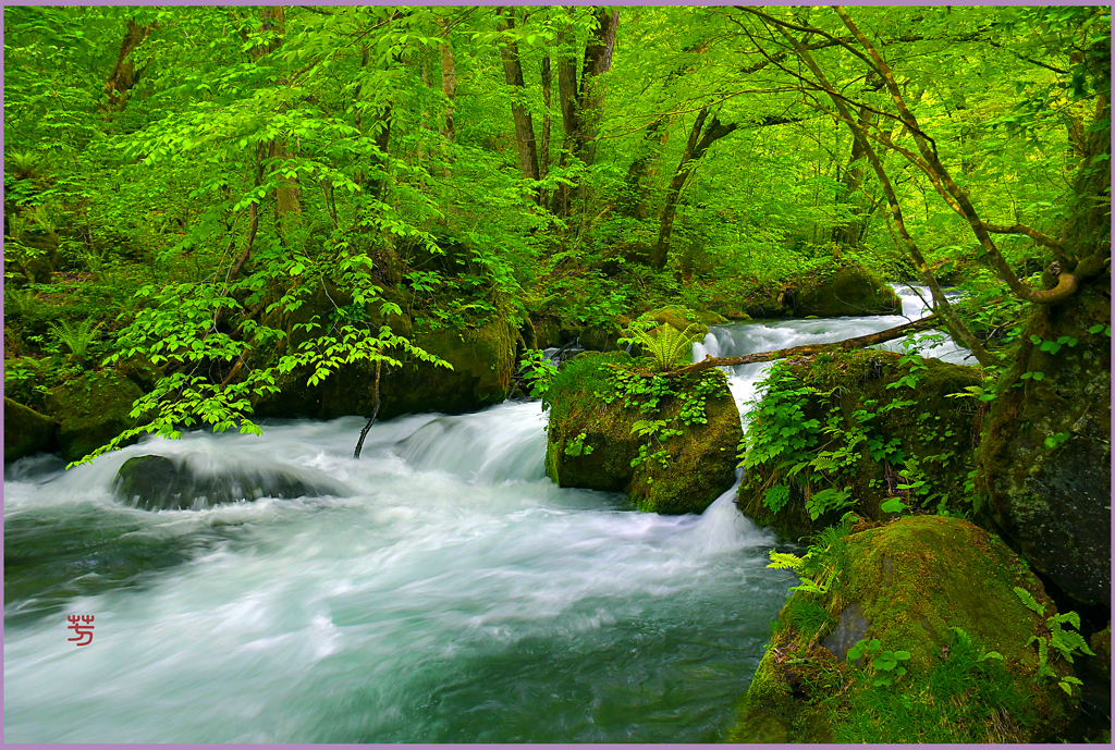 奥入瀬「若葉の本阿修羅の流れ」