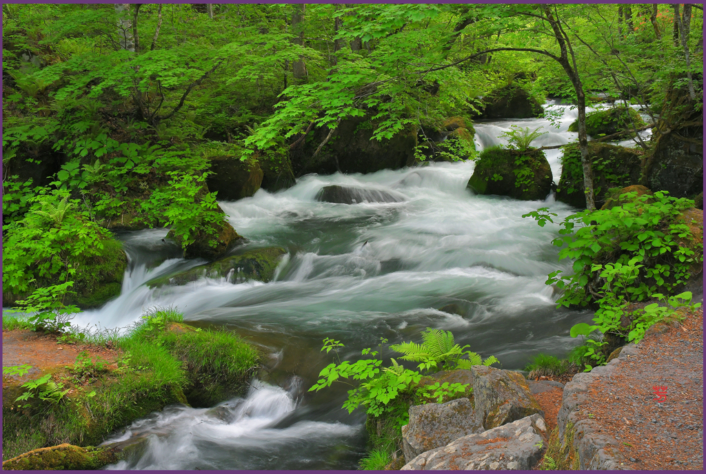 「本阿修羅.激流」