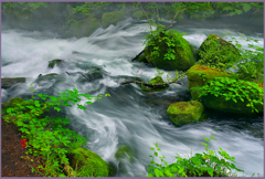 奥入瀬.阿修羅激流