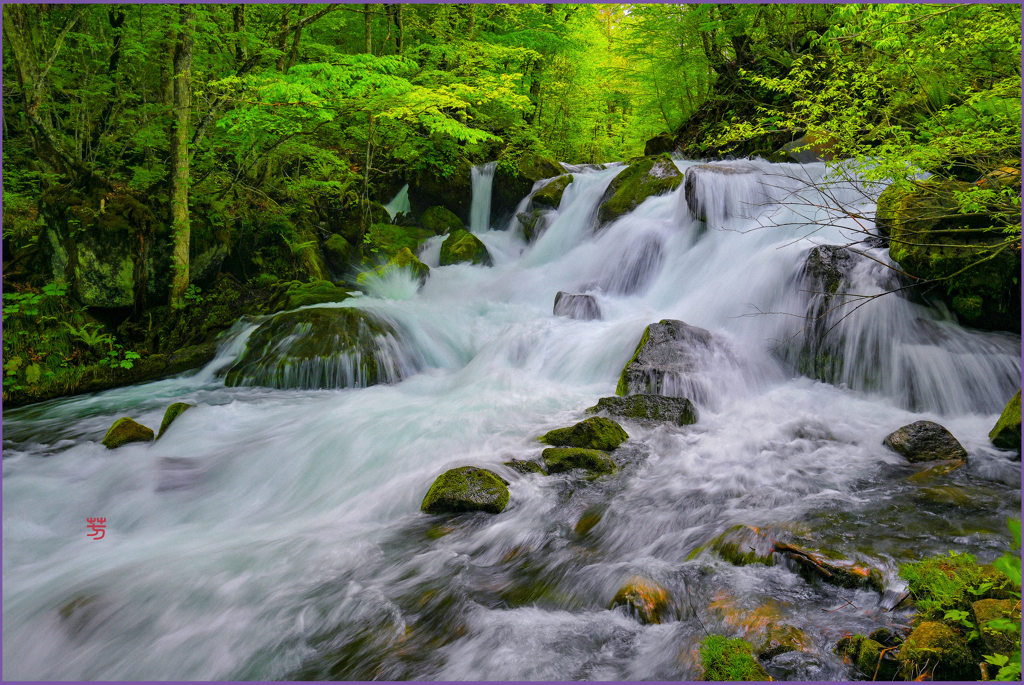 「新九龍の流れ」