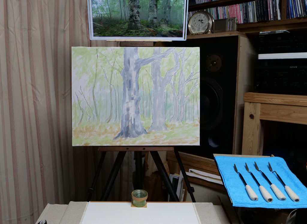 「霧のブナ林」