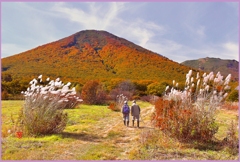 ＠八甲田山.雛岳斜陽-晩秋-