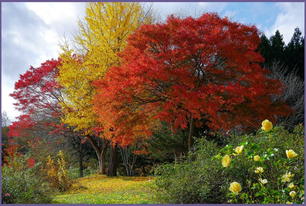 「薔薇園にて」