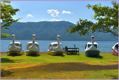 「2019　水上船白鳥号. 休屋」