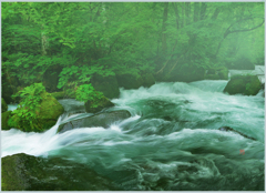 「霧の本阿修羅の流れ」