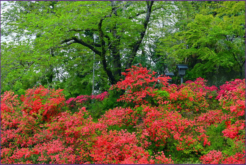 「神明宮神社」
