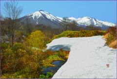 八甲田山残雪
