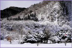 「旧姨捨山」