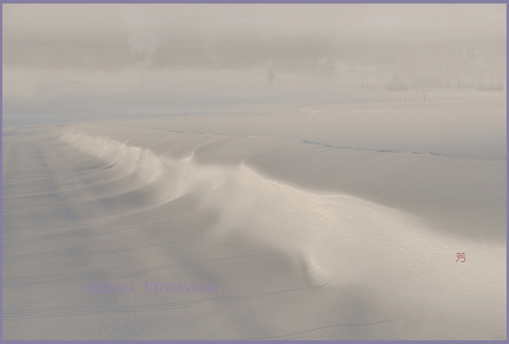 「立春吹雪」