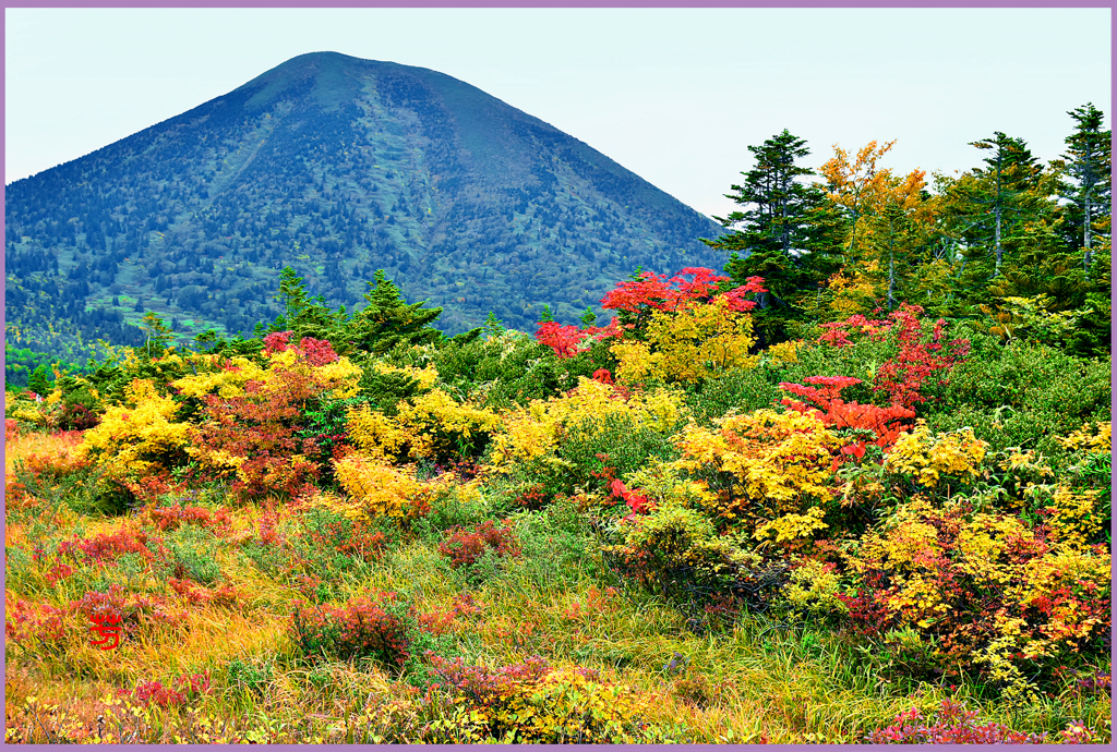 八甲田山「高田大岳周辺紅葉」