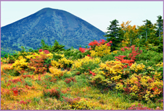 八甲田山「高田大岳周辺紅葉」