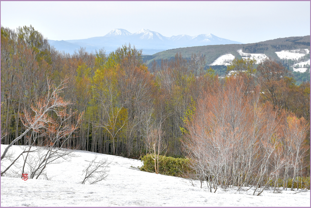 八甲田山初化粧 3